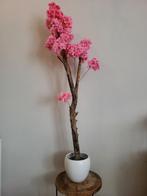 Uniek bloesemboompje – 150 cm, Huis en Inrichting, Ophalen, Nieuw
