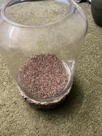 Te koop vazen, Ophalen, Overige kleuren, Minder dan 50 cm, Glas