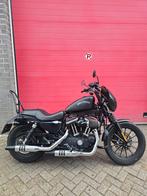 Harley Davidson Iron 883 Clubstyle chopper, Motoren, 2 cilinders, 883 cc, Particulier, ABS