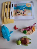 LEGO Creator 31128 Dolfijn en Schildpad, Ophalen, Zo goed als nieuw, Complete set, Lego
