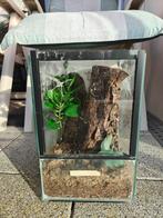 Terrarium 20x20x30, Ophalen, Zo goed als nieuw, Terrarium of Paludarium