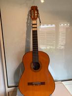 Akoestische gitaar mist alleen een paar snaren, Muziek en Instrumenten, Snaarinstrumenten | Gitaren | Akoestisch, Ophalen, Gebruikt