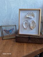 Handgemaakte Oesterschelpen Trouwdecoratie - 20x25cm, Ophalen of Verzenden