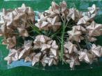 91 gouden glitterende kerststerren op stok 14 cm lang, Diversen, Kerst, Ophalen of Verzenden