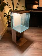 Nanocube Aquarium kast + lamp + pomp, Dieren en Toebehoren, Vissen | Aquaria en Toebehoren, Ophalen, Zo goed als nieuw, Overige typen