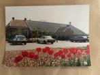 Winschoten: Bowlingboerderij Imming aan het  Oostereinde, Verzamelen, Ansichtkaarten | Nederland, Ophalen of Verzenden, 1980 tot heden