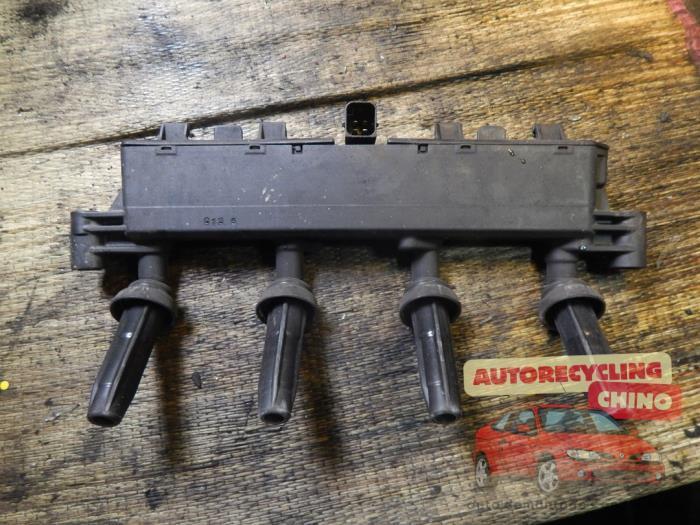 Bobine van een Peugeot 206, Auto-onderdelen, Motor en Toebehoren, Peugeot, Gebruikt, 3 maanden garantie, Ophalen