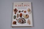 Schelpen — Sesam Natuur Handboek, Ophalen of Verzenden, Schelp(en)