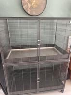 Savic royal suite XL ratten/frettenkooi met accessoires, Ophalen, Kooi, 110 cm of meer, Zo goed als nieuw