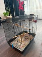 Zebra vinkjes met kooi rn voer, Ophalen, Zo goed als nieuw