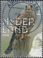 Nederland- 2020- NVPH-3817- Natuur- Vogels- Torenvalk- G, Postzegels en Munten, Verzenden, Na 1940, Gestempeld