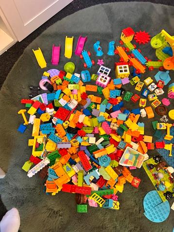 Heel veel Duplo Stenen en Platen, grote kermis / pretpark beschikbaar voor biedingen