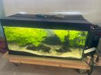 Juwel Aqarium compleet, pomp en CO2., Dieren en Toebehoren, Vissen | Aquaria en Toebehoren, Ophalen, Zo goed als nieuw, Filter of Co2