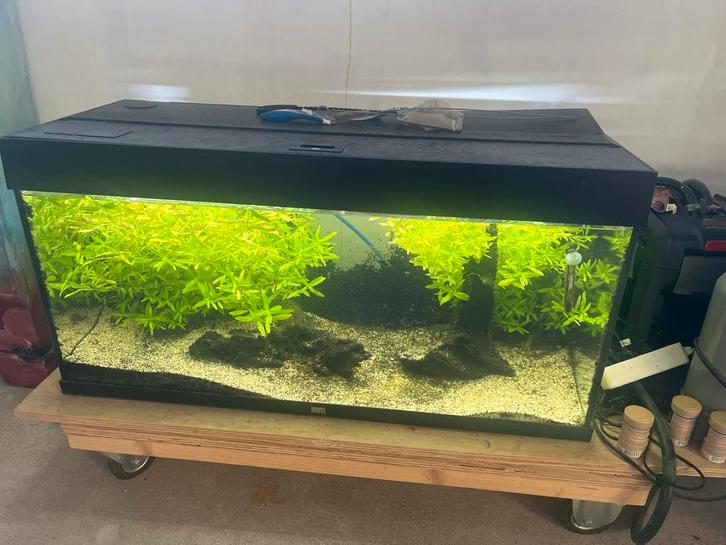 Juwel Aqarium compleet, pomp en CO2., Dieren en Toebehoren, Vissen | Aquaria en Toebehoren, Zo goed als nieuw, Filter of Co2, Ophalen