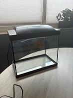 Compleet aquarium te koop – incl. toebehoren, Ophalen, Zo goed als nieuw, Leeg aquarium