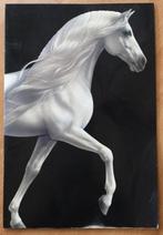 Souvenirbrochure CAVALIA (paarden) - origineel - IZGST, Ophalen of Verzenden, Zo goed als nieuw, Overige typen