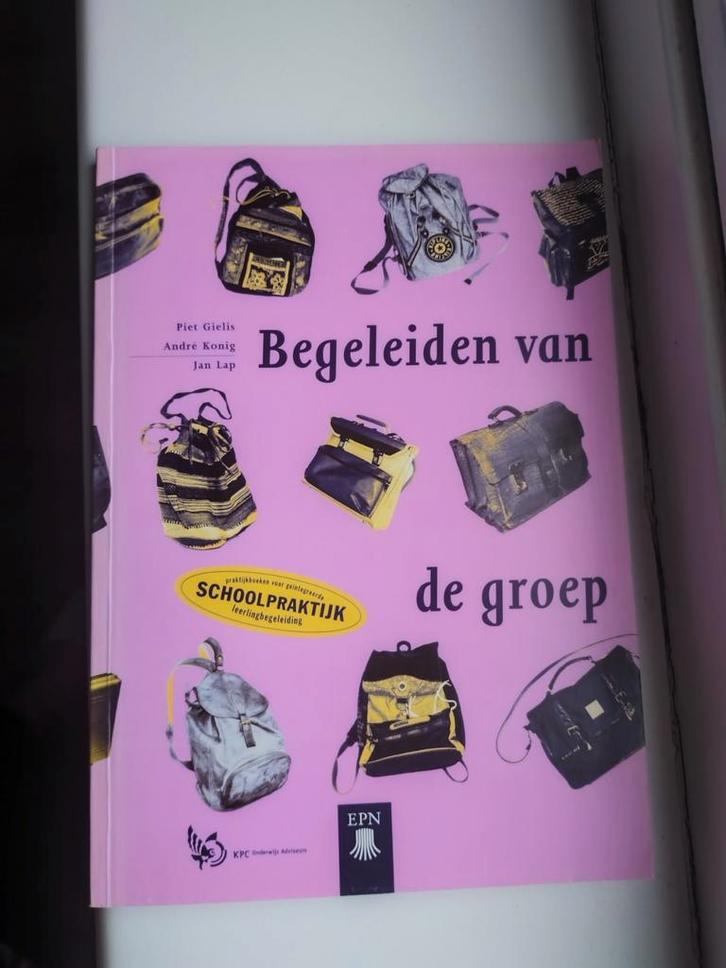 Begeleiden van de groep - Piet Gielis, Boeken, Studieboeken en Cursussen, Zo goed als nieuw, Niet van toepassing, Ophalen of Verzenden