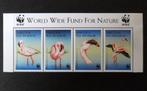 Angola - vogels - flamingo - serie 4 zegels met bovenstrook, Ophalen of Verzenden, Postfris, Dier of Natuur