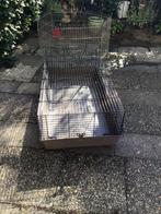 Te koop aangeboden groot konijnen hok, Dieren en Toebehoren, Geslacht onbekend, Groot, 3 tot 5 jaar