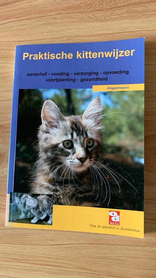 Praktische kittenwijzer, Boeken, Dieren en Huisdieren, Zo goed als nieuw, Ophalen