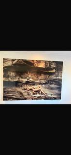 Frank de Mulder art, Ophalen