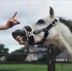 ** SPECIALE Welsh pony voor coaching / vrijheidsdressuur **, Dieren en Toebehoren, Pony's, Gechipt, 7 tot 10 jaar, Ruin, Niet van toepassing