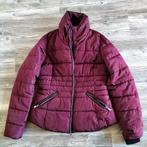 Eksept winterjas maat M, Kleding | Dames, Jassen | Winter, Maat 38/40 (M), Paars, Ophalen of Verzenden, Zo goed als nieuw