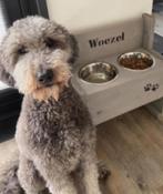 Diverse unieke hondenvoerbakken met GRATIS naam hond, Dieren en Toebehoren, Ophalen of Verzenden, Nieuw