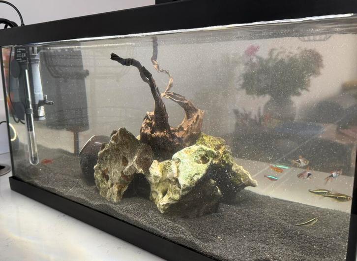 Eheim 54L aquarium incl toebehoren!, Dieren en Toebehoren, Vissen | Aquaria en Toebehoren, Gebruikt, Gevuld zoetwateraquarium