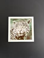 Glazen Schilderij - Jaguar, Ophalen of Verzenden, Zo goed als nieuw, Schilderij, Minder dan 50 cm