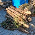 Brandhout , boomstammen, Minder dan 3 m³, Ophalen