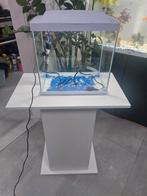 Aquarium met verwarming, Dieren en Toebehoren, Vissen | Aquaria en Toebehoren, Ophalen, Zo goed als nieuw, Verlichting of Verwarming