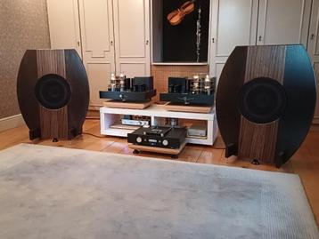 Decware Zen Master zelfbouw met Lii Fast 12 units beschikbaar voor biedingen