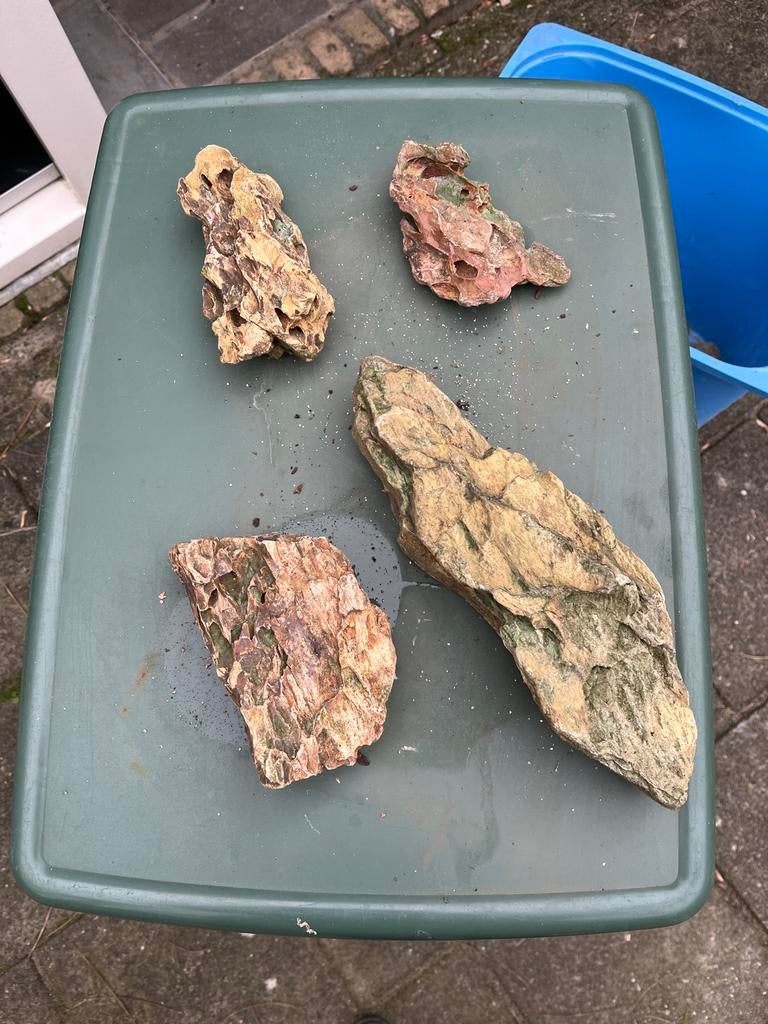 Stenen voor aquarium of terrarium, Ophalen of Verzenden, Gebruikt, Plant(en), Steen of Hout