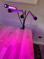 Groeilamp led planten kweken, Tuin en Terras, Kweekspullen, Ophalen of Verzenden, Zo goed als nieuw, Kweeklamp