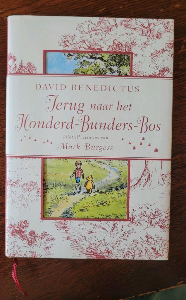 Terug naar het Honderd-Bunders-Bos (David Benedictus), Boeken, Kinderboeken | Jeugd | onder 10 jaar, Zo goed als nieuw, Fictie algemeen