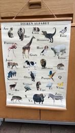 Dieren Alfabet Schoolplaat, Antiek en Kunst, Antiek | Schoolplaten, Ophalen of Verzenden, Natuur en Biologie