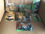 NIEUW 7 ansichtkaarten wilde dieren, Ophalen, 1980 tot heden, Ongelopen, Wild dier
