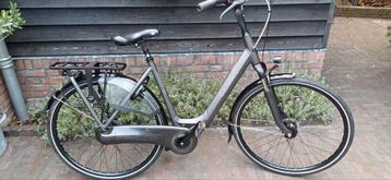 Z.G.A.N Gazelle Orange C7 💯% OK! H53 cm Nexus 7 beschikbaar voor biedingen