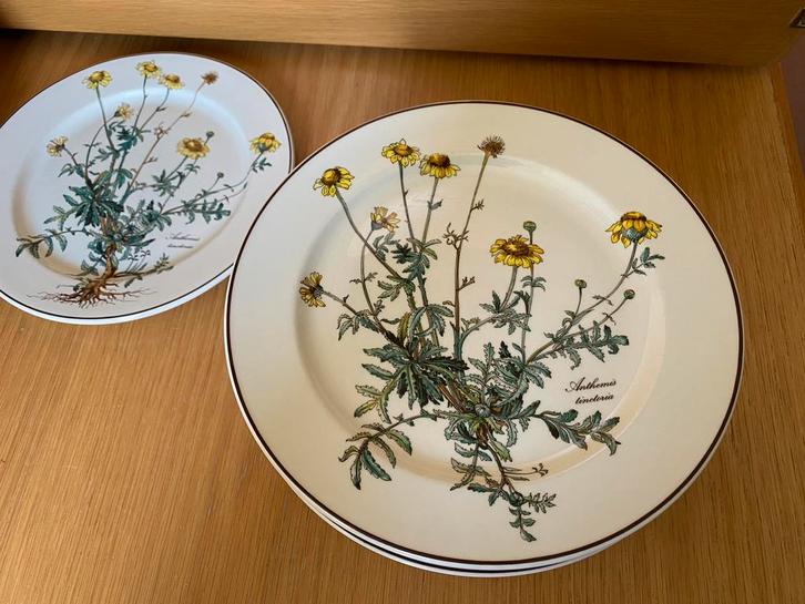 Villeroy en Boch servies Botanica, Huis en Inrichting, Keuken | Servies, Bord(en), Overige stijlen, Porselein, Ophalen of Verzenden