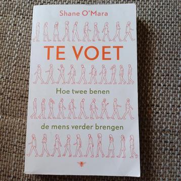 Shane O'Mara - Te voet beschikbaar voor biedingen