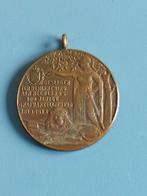 Penning 100 jaar Nederlandse onafhankelijkheid 1913, Ophalen of Verzenden, Brons, Nederland