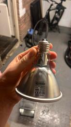 Terrarium benodigdheden, Dieren en Toebehoren, Ophalen of Verzenden, Gebruikt