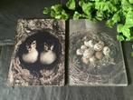 Nieuw set prentenbordjes eenden en eieren, Ophalen of Verzenden, Nieuw, Minder dan 50 cm