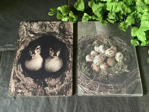Nieuw set prentenbordjes eenden en eieren, Huis en Inrichting, Woonaccessoires | Schilderijen, Tekeningen en Foto's, Nieuw, Minder dan 50 cm