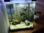 Aquarium helemaal compleet en krasvrij!, Dieren en Toebehoren, Vissen | Aquaria en Toebehoren, Ophalen, Zo goed als nieuw, Gevuld zoetwateraquarium