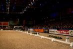 Dressuurpistes 20x60m uit verhuur. Tegen gereduceerde prijs, Ophalen, Zo goed als nieuw, Dressuur