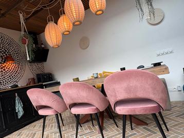 3 Karwei NOVI Eetkamerstoelen Roze Fluweel beschikbaar voor biedingen