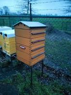 Simplex bijen kast inclusief 3 raams aflegerkast en ramen, Bijen