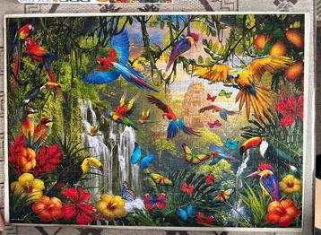 500 XL puzzel Eurographics - Tropical Bird Paradise - zgan! beschikbaar voor biedingen